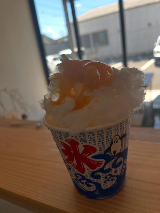 画像290