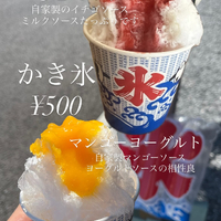 画像295