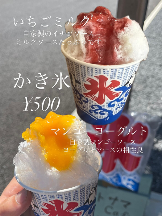 画像295